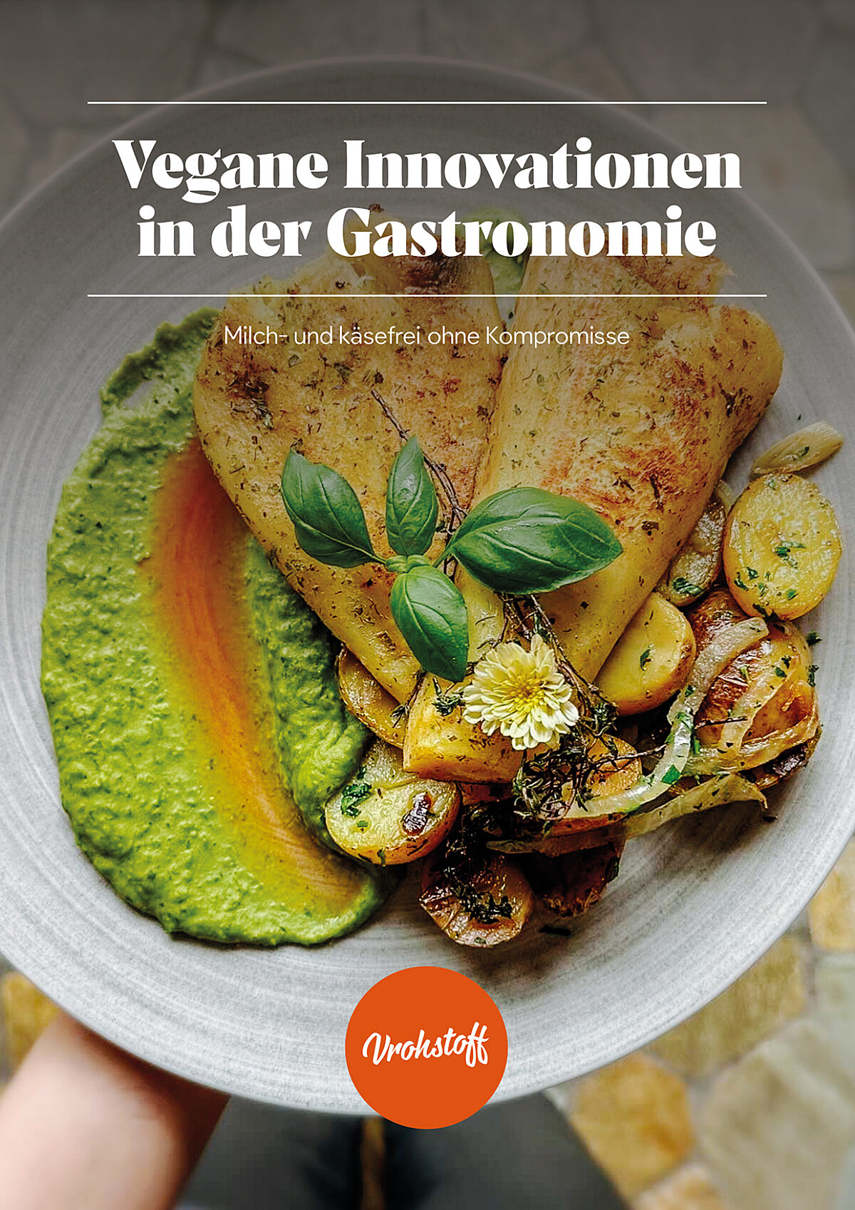 Vrohstoff Kochkurs Cover Vegane Innovationen in der Gastro Vrohstoff Kochkurs Cover Vegane Innovationen in der Gastro